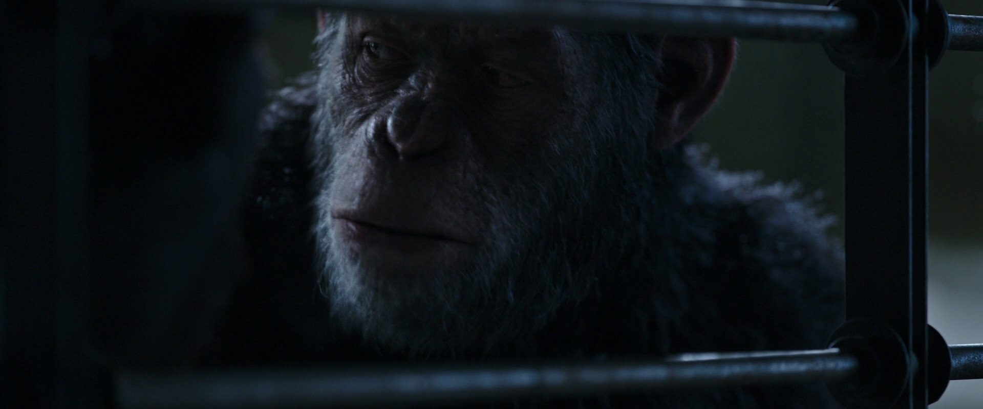 War for the Planet of the Apes (2017) HD screenshot 13169