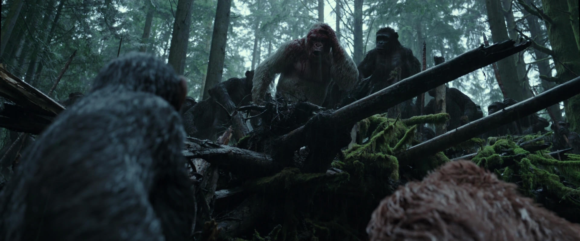 War for the Planet of the Apes (2017) screencap 1317