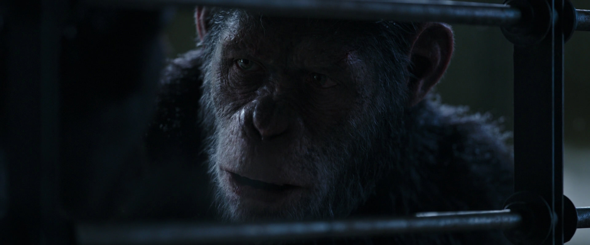 War for the Planet of the Apes (2017) screencap 13170