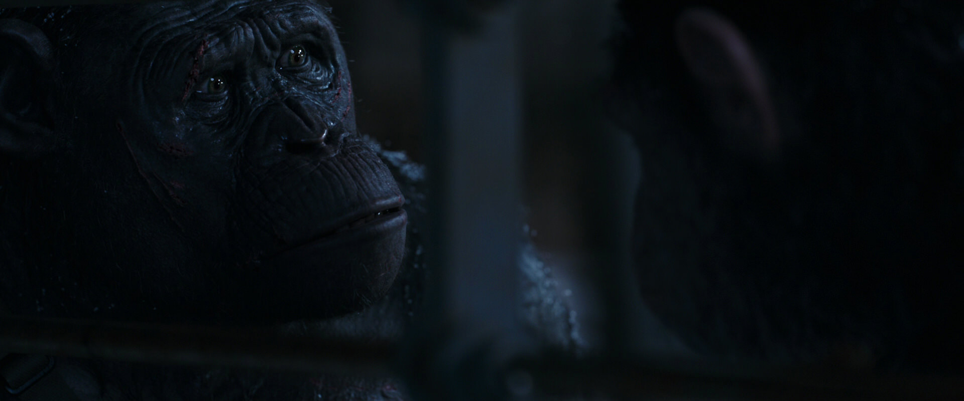 War for the Planet of the Apes (2017) movie still 13171