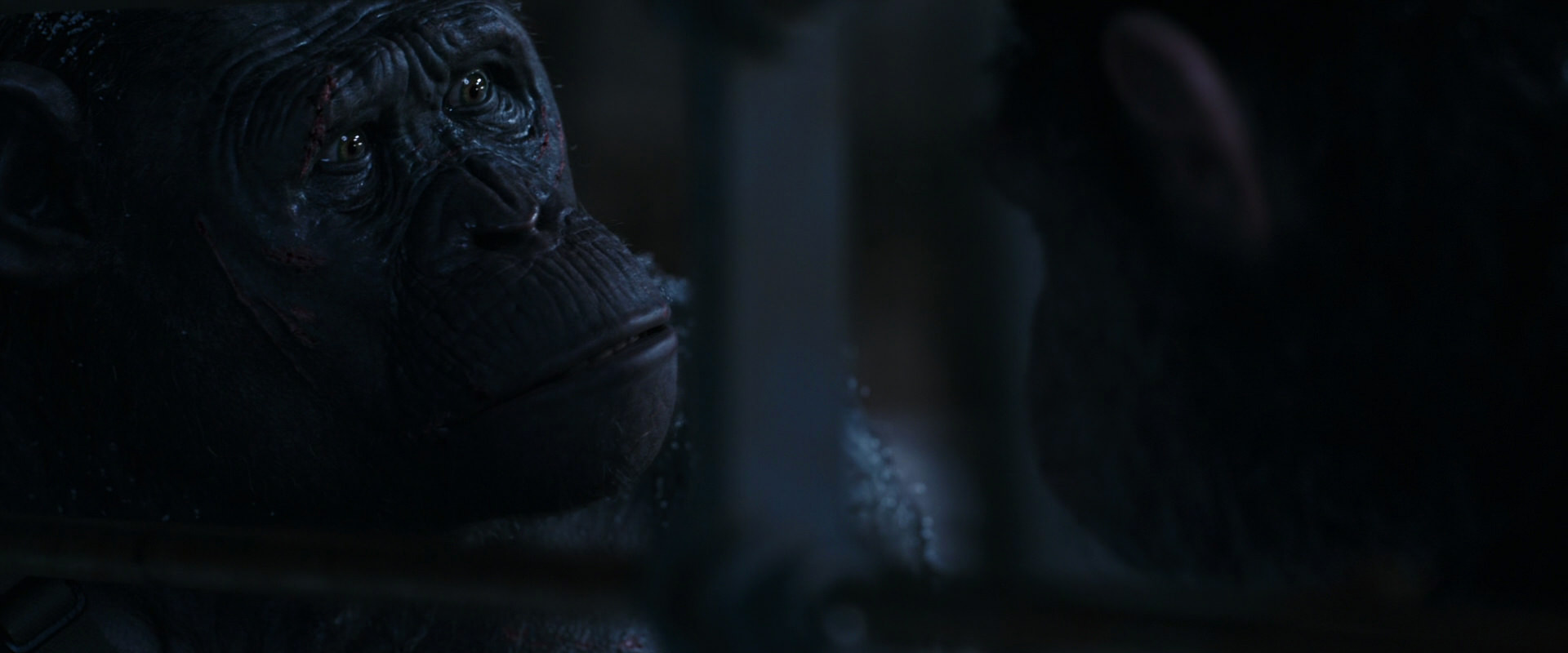 War for the Planet of the Apes (2017) HD screenshot 13172