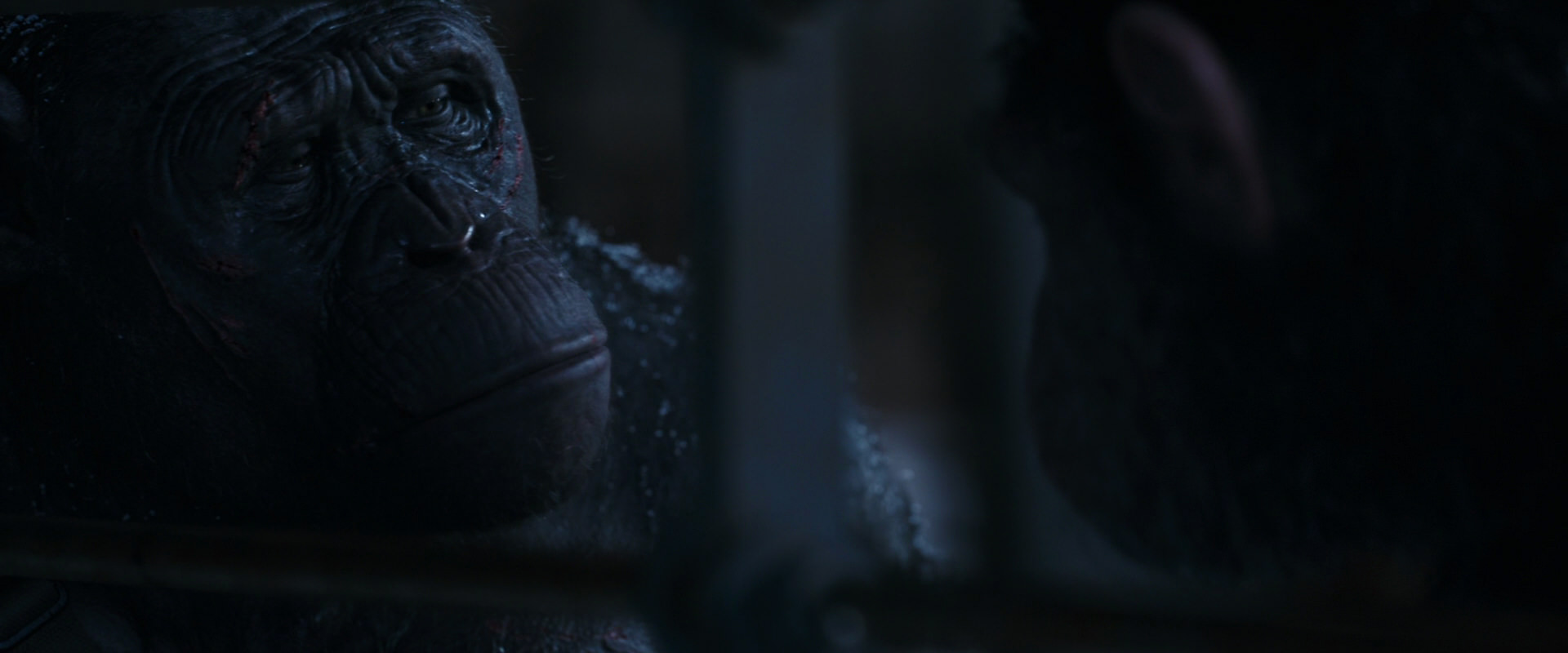 War for the Planet of the Apes (2017) screencap 13173