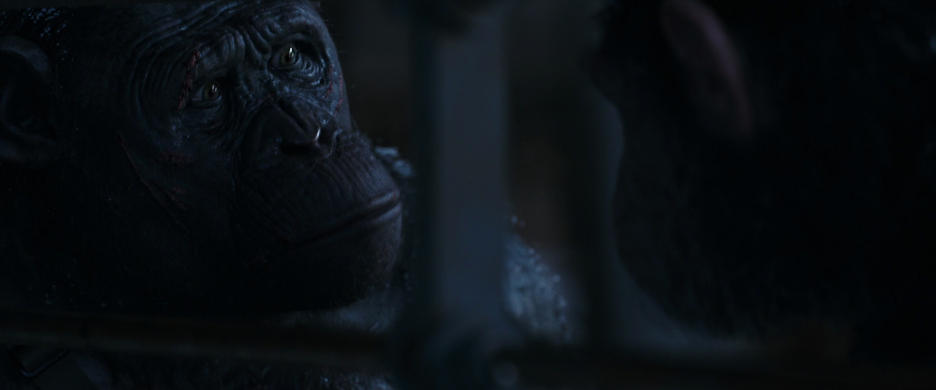 War for the Planet of the Apes (2017) HD screenshot 13175