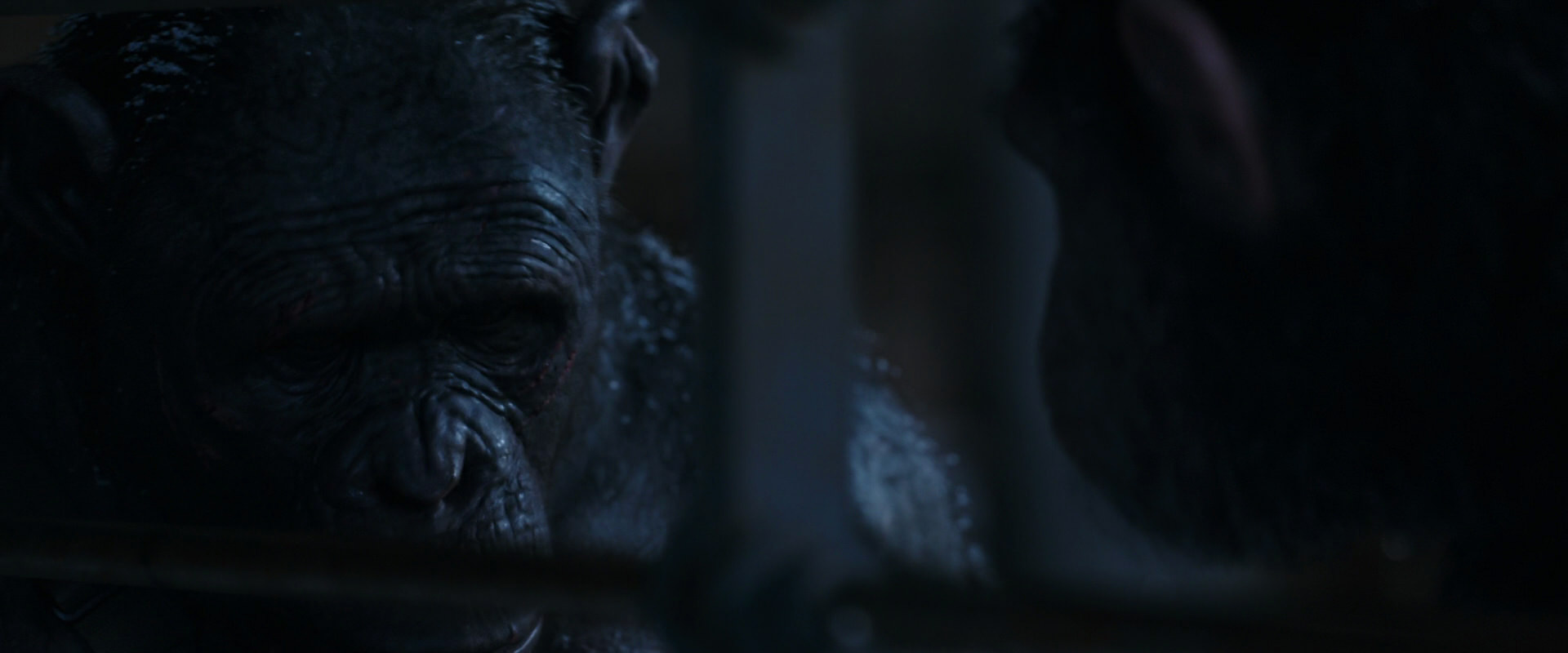 War for the Planet of the Apes (2017) screencap 13176
