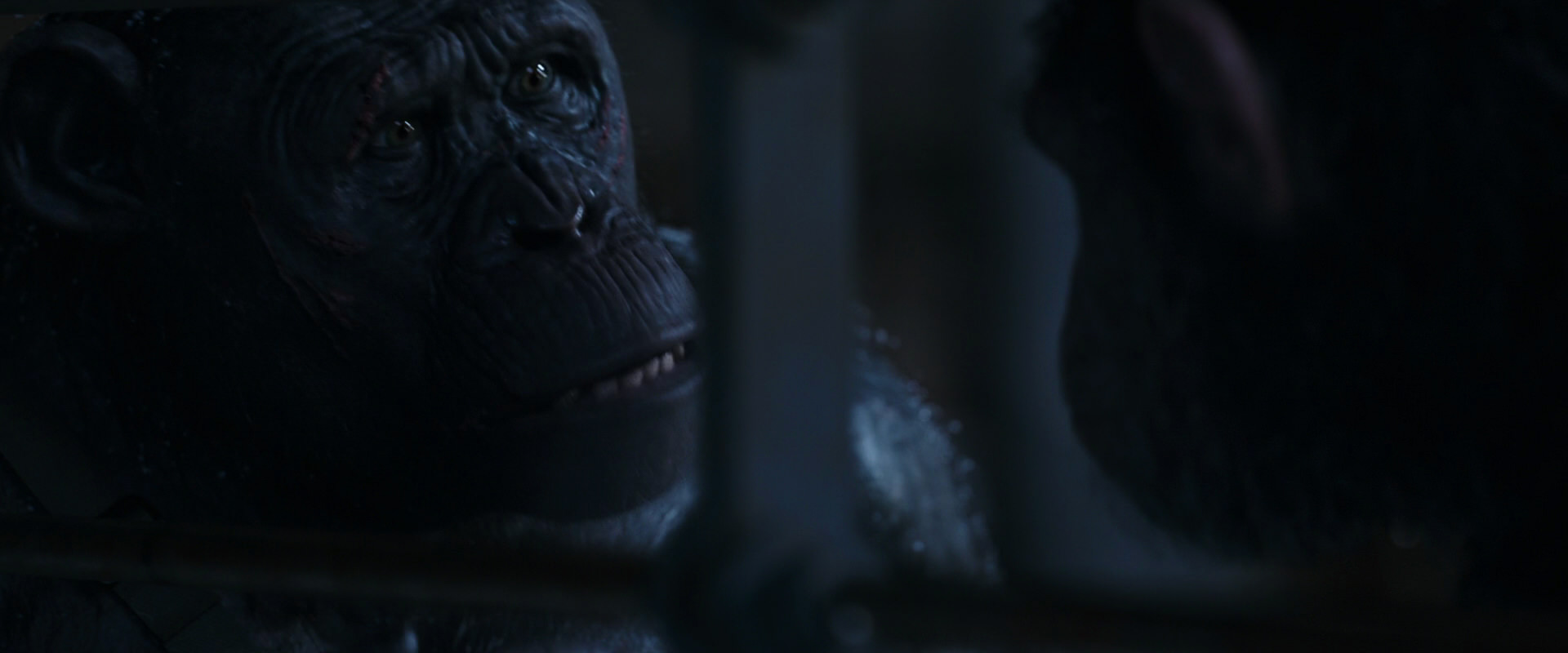 War for the Planet of the Apes (2017) movie still 13177