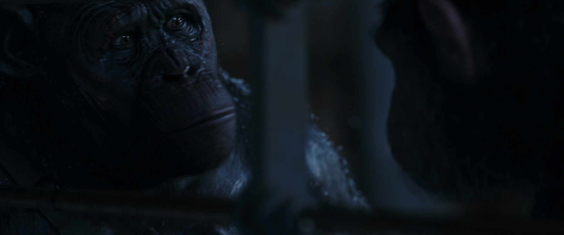 War for the Planet of the Apes (2017) HD screenshot 13178
