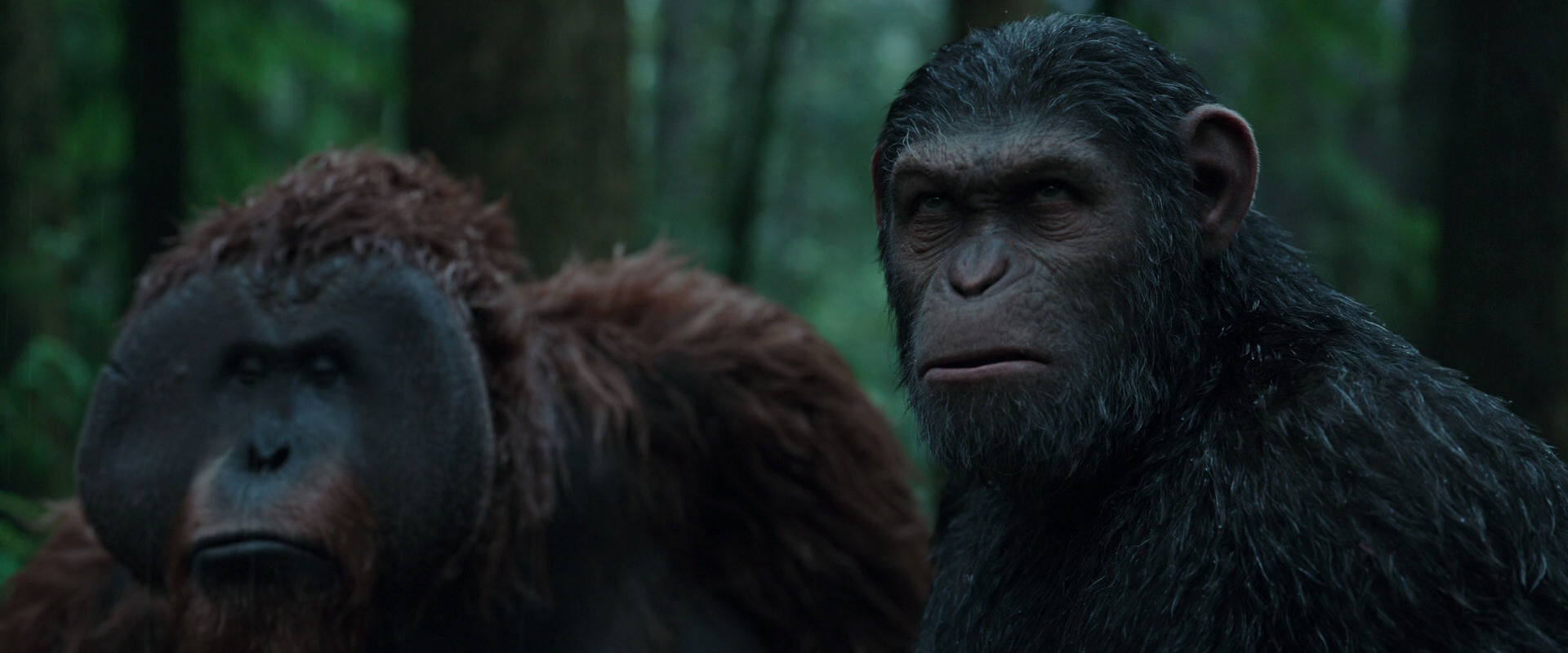 War for the Planet of the Apes (2017) movie still 1318