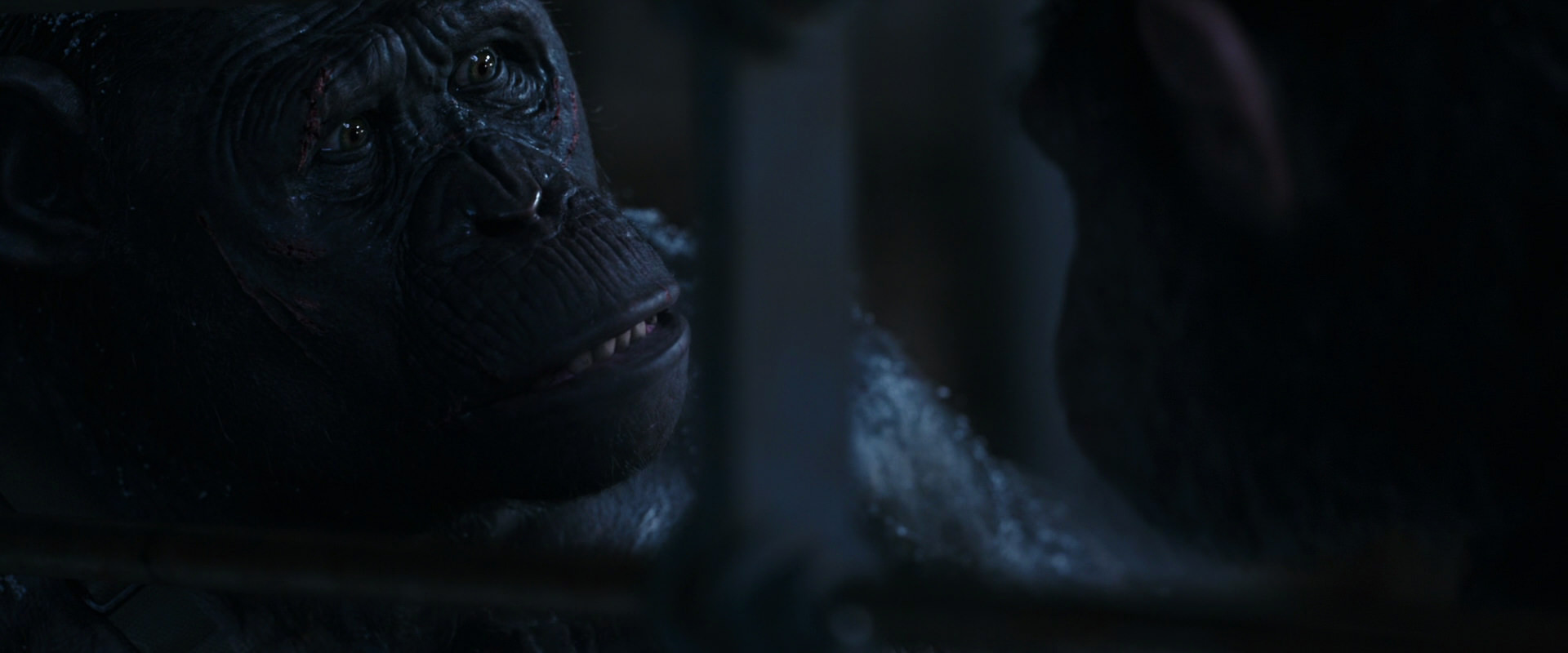 War for the Planet of the Apes (2017) movie still 13180