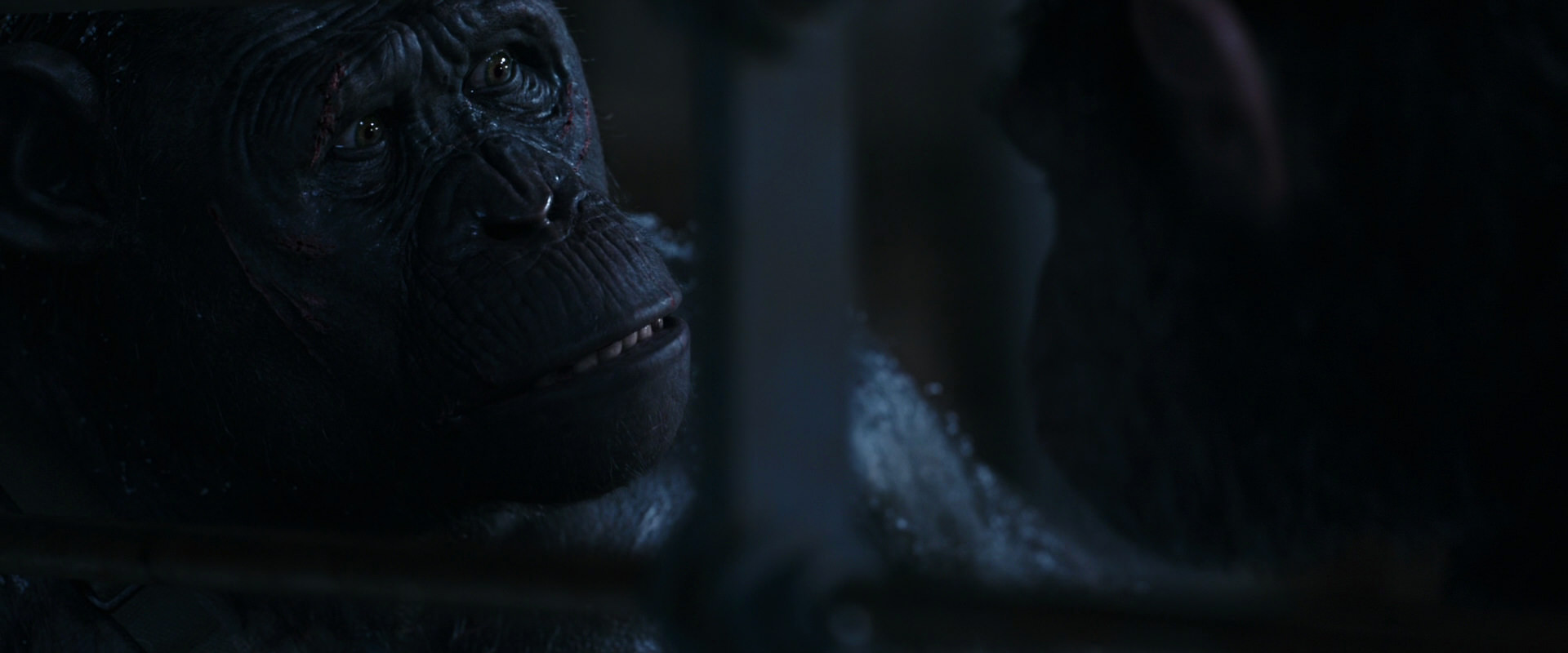 War for the Planet of the Apes (2017) HD screenshot 13181
