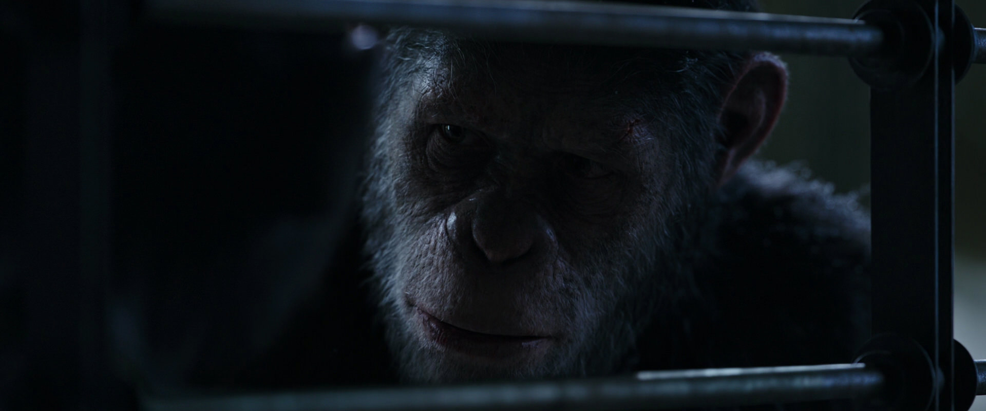 War for the Planet of the Apes (2017) screencap 13182