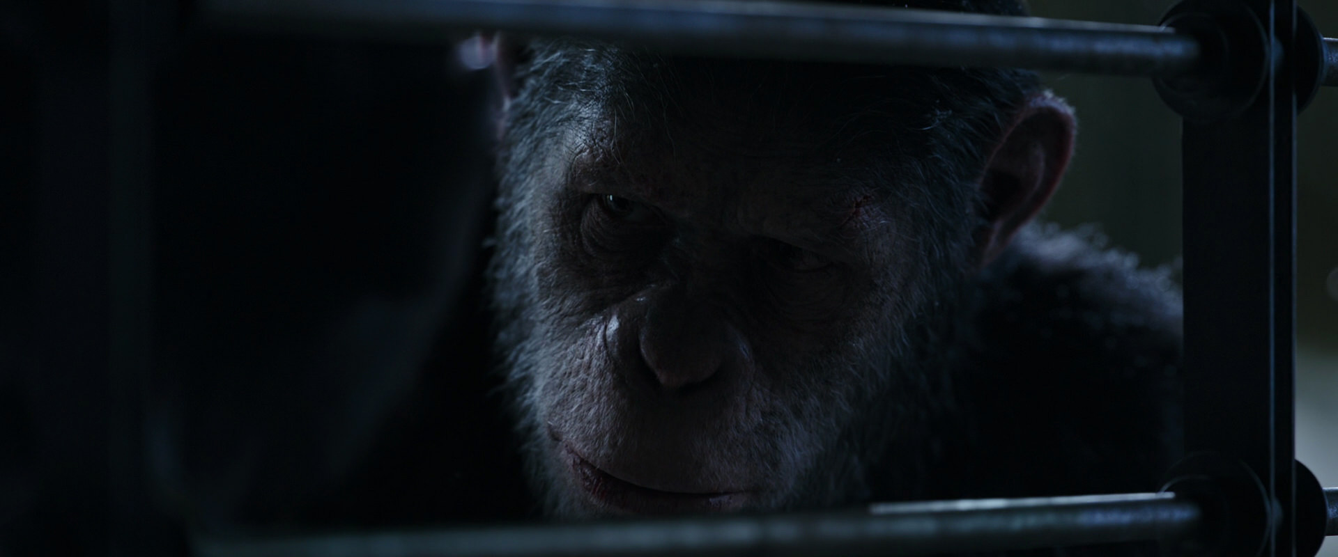 War for the Planet of the Apes (2017) movie still 13183