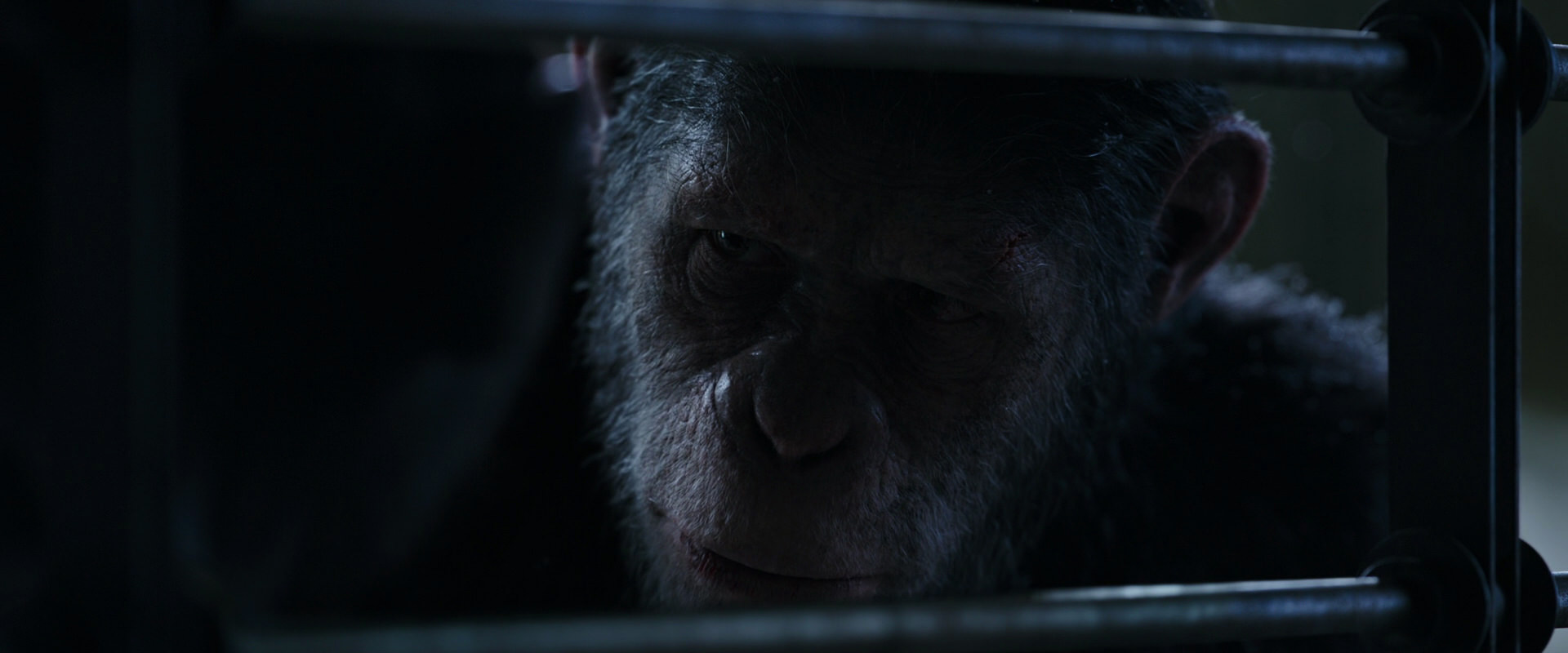 War for the Planet of the Apes (2017) HD screenshot 13184