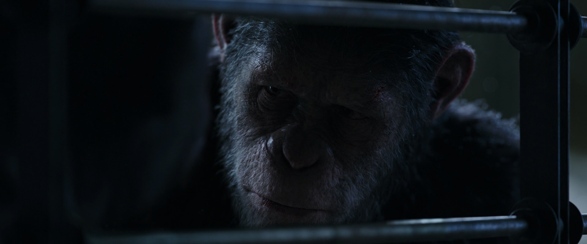 War for the Planet of the Apes (2017) screencap 13185