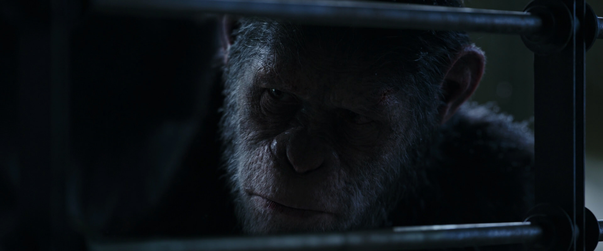 War for the Planet of the Apes (2017) movie still 13186