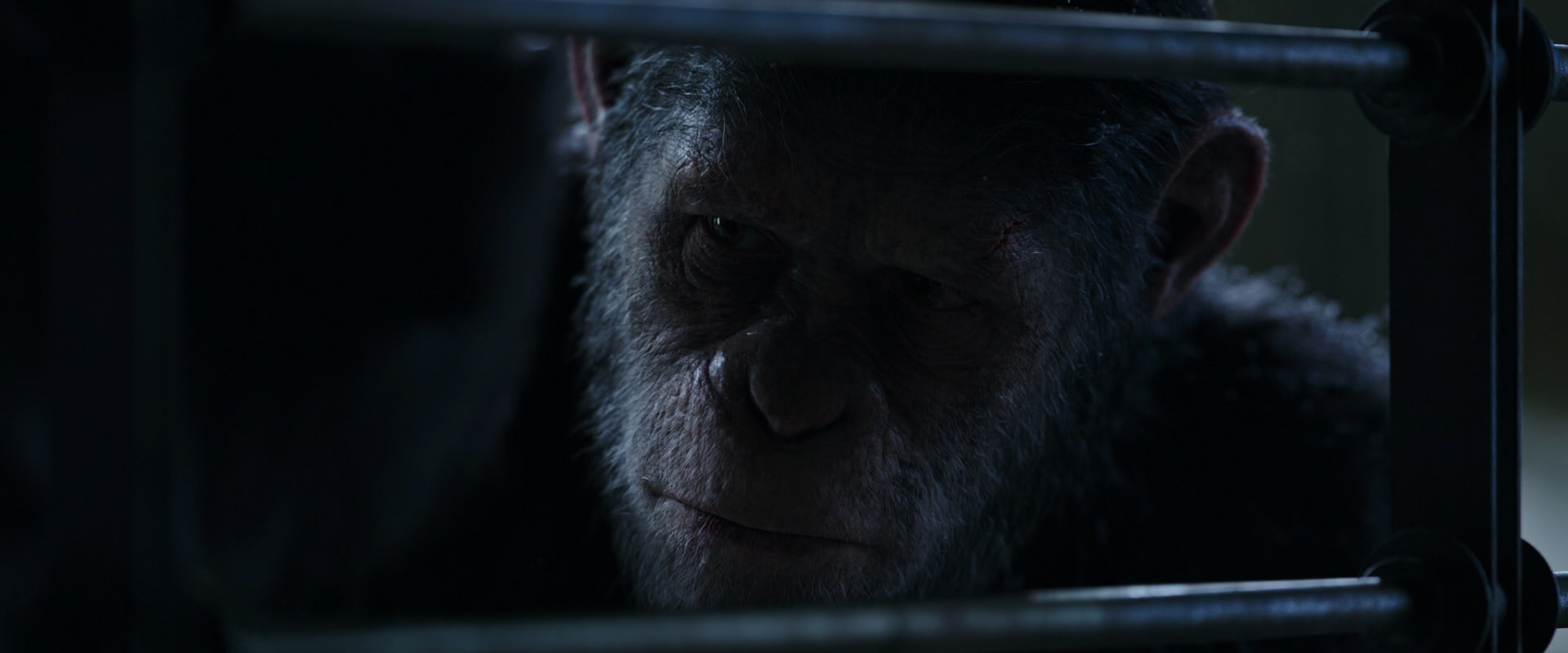 War for the Planet of the Apes (2017) HD screenshot 13187