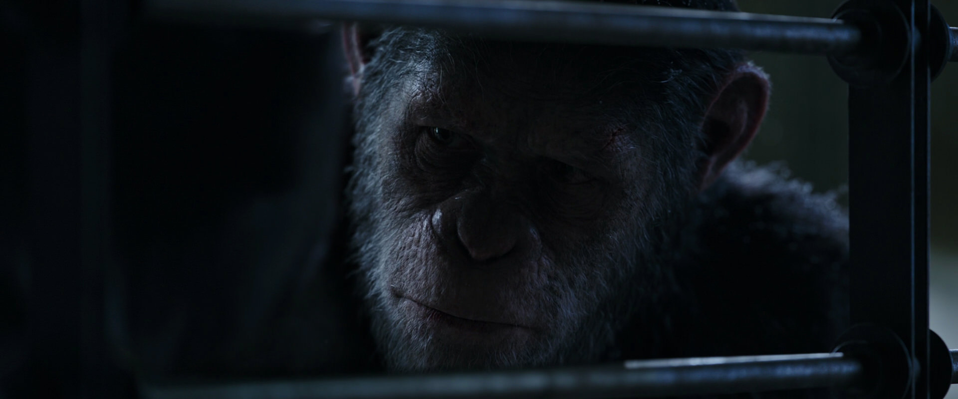 War for the Planet of the Apes (2017) screencap 13188
