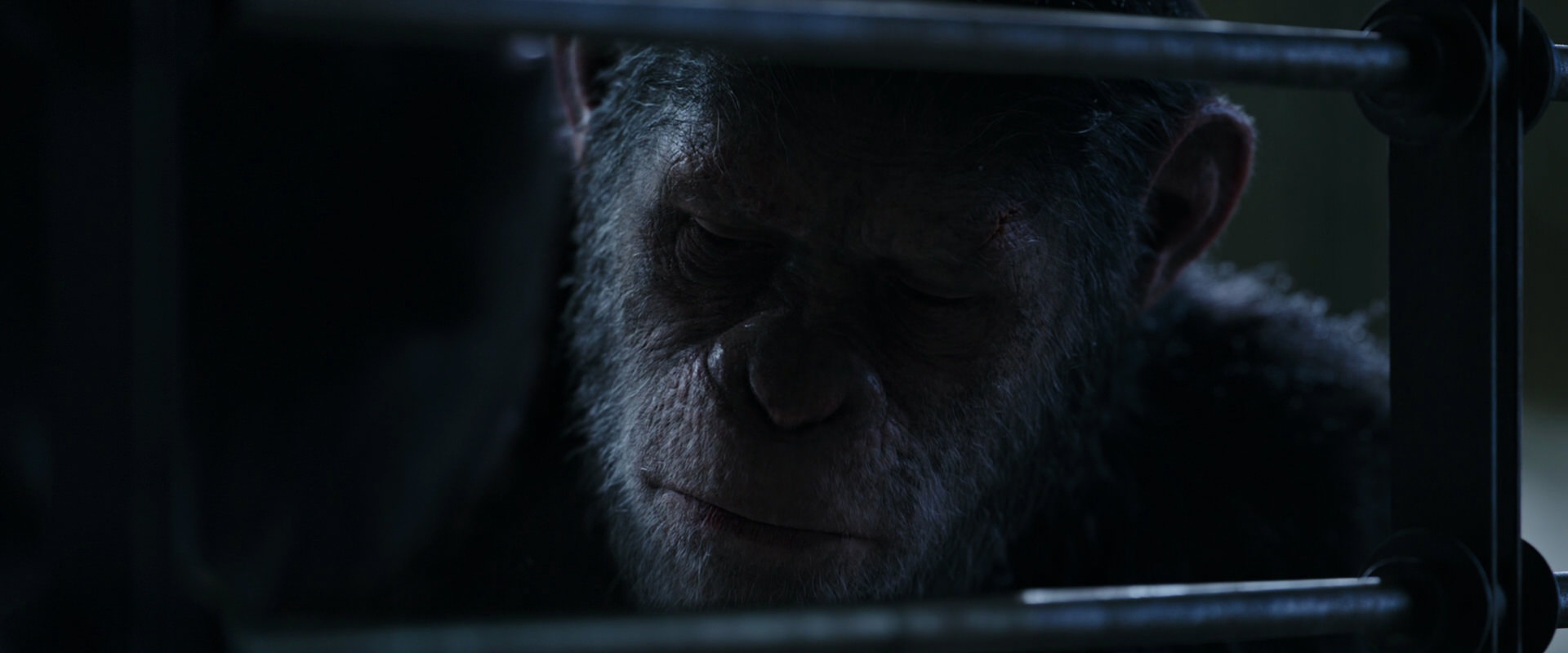 War for the Planet of the Apes (2017) movie still 13189