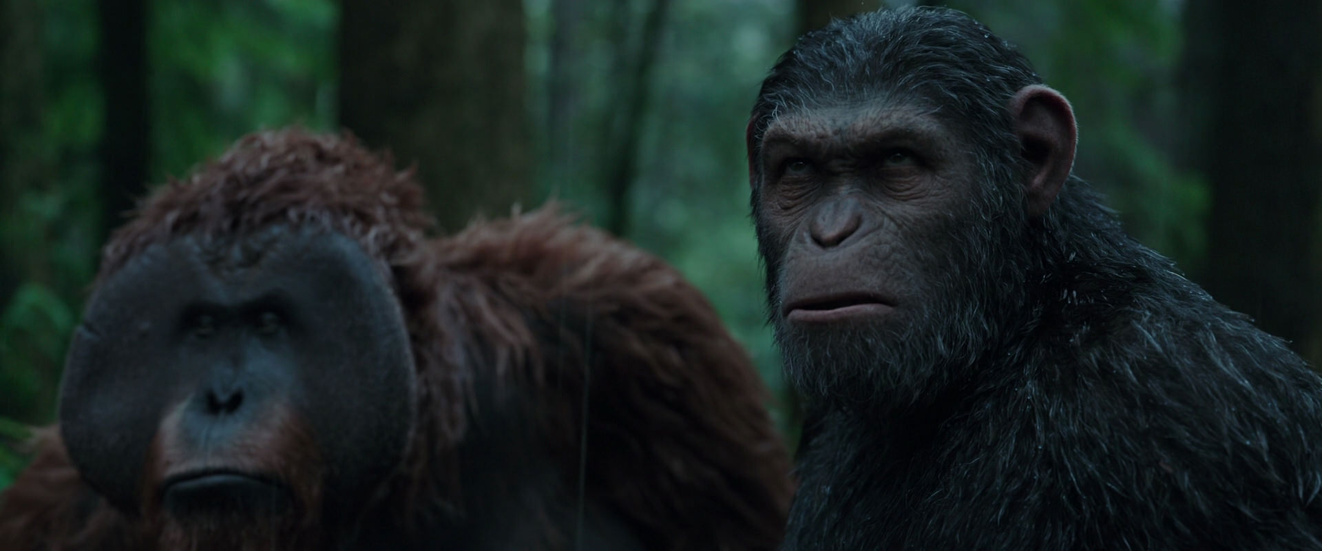 War for the Planet of the Apes (2017) HD screenshot 1319