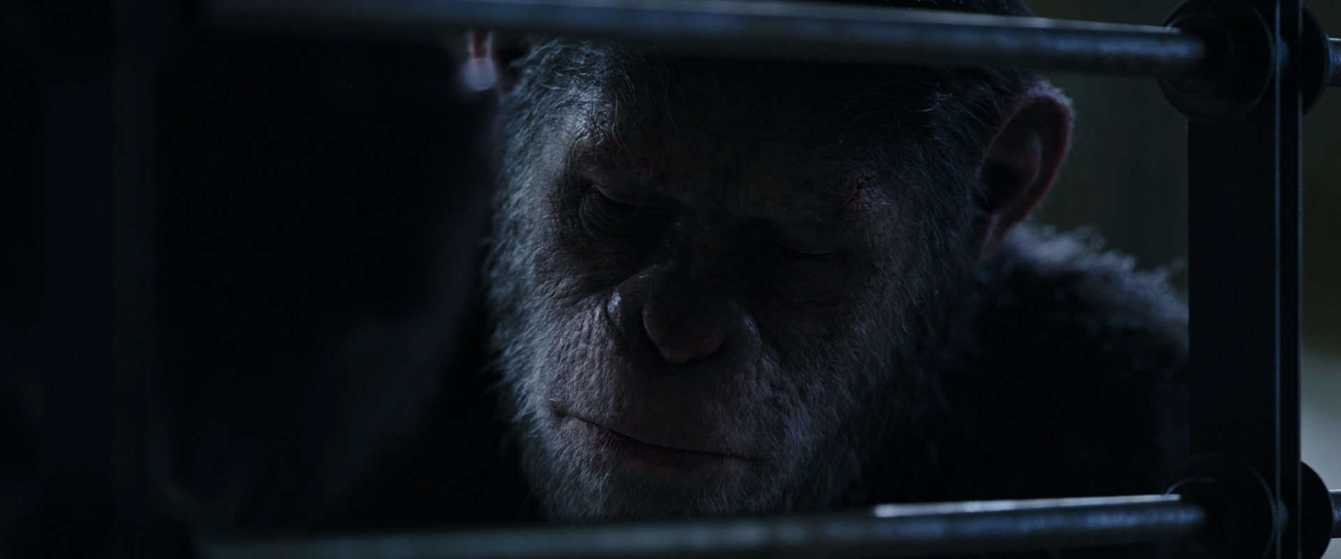 War for the Planet of the Apes (2017) HD screenshot 13190