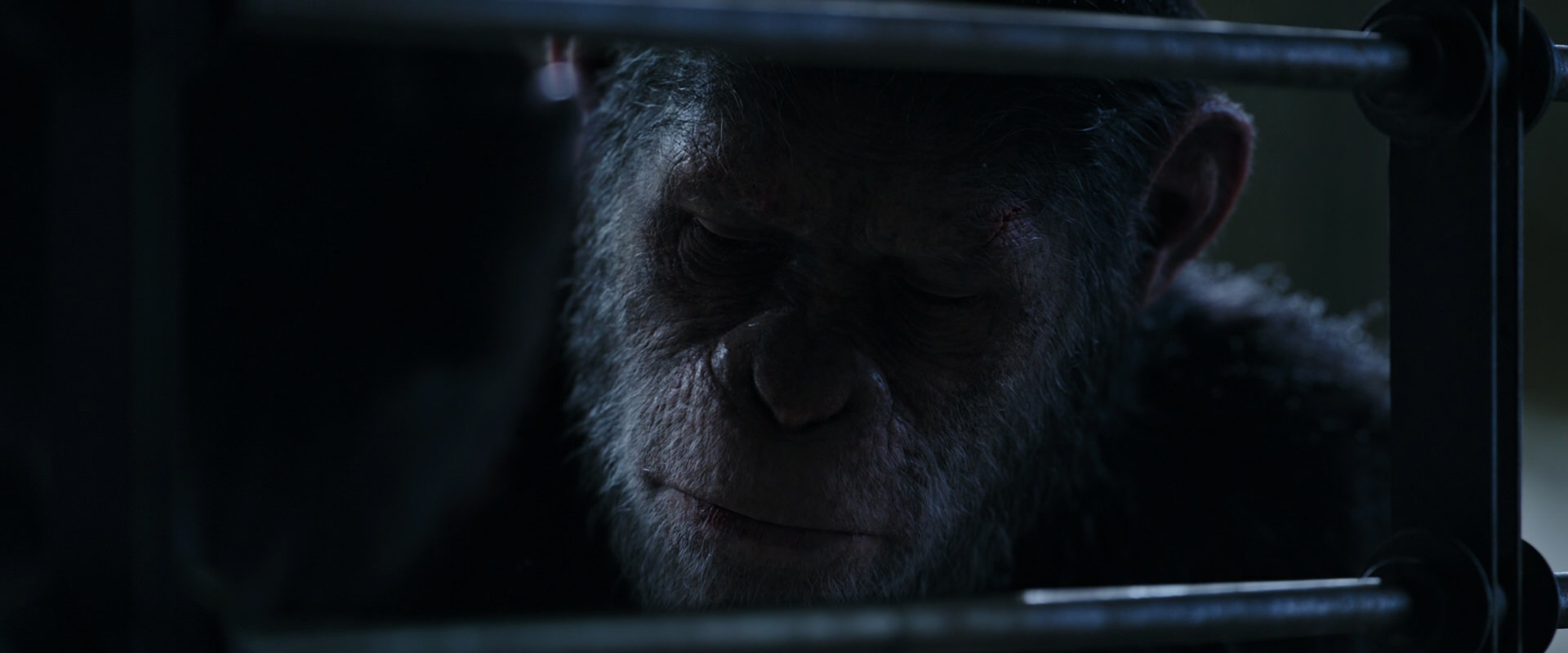War for the Planet of the Apes (2017) screencap 13191