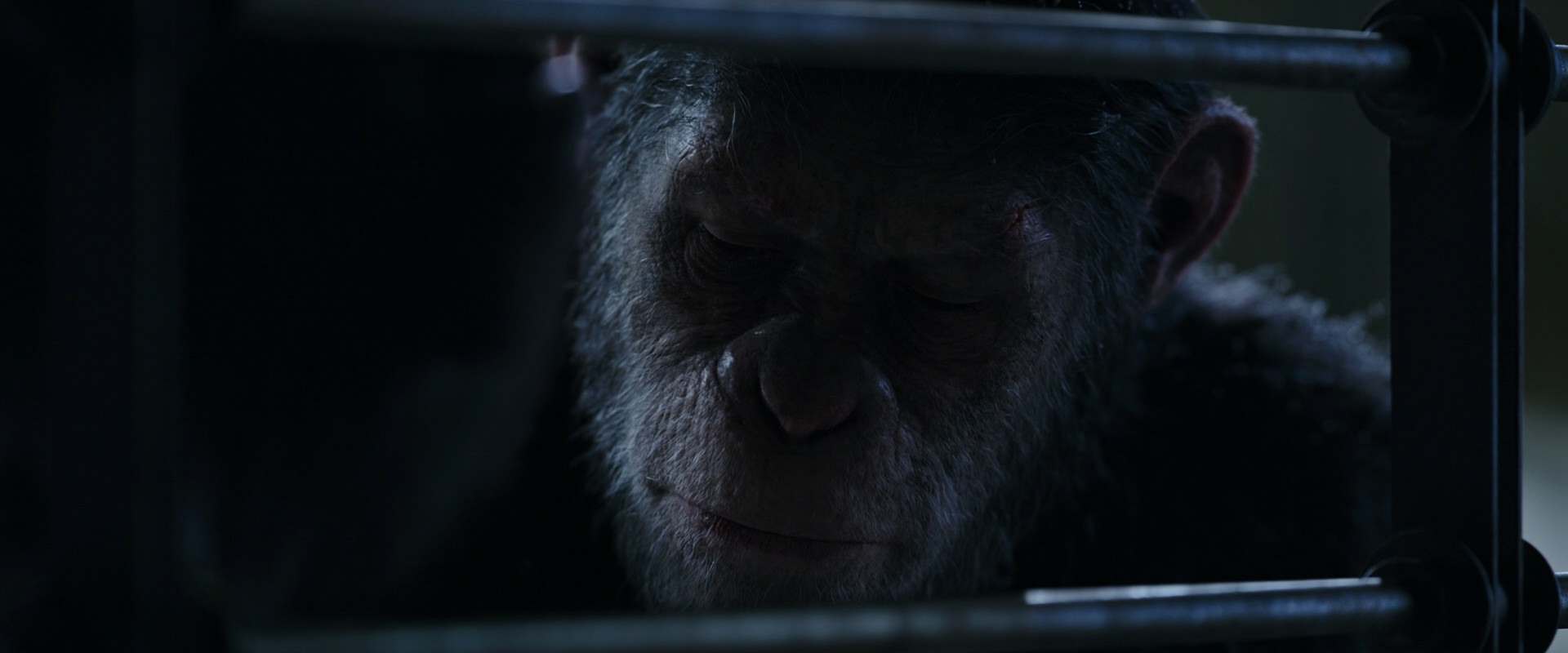 War for the Planet of the Apes (2017) movie still 13192