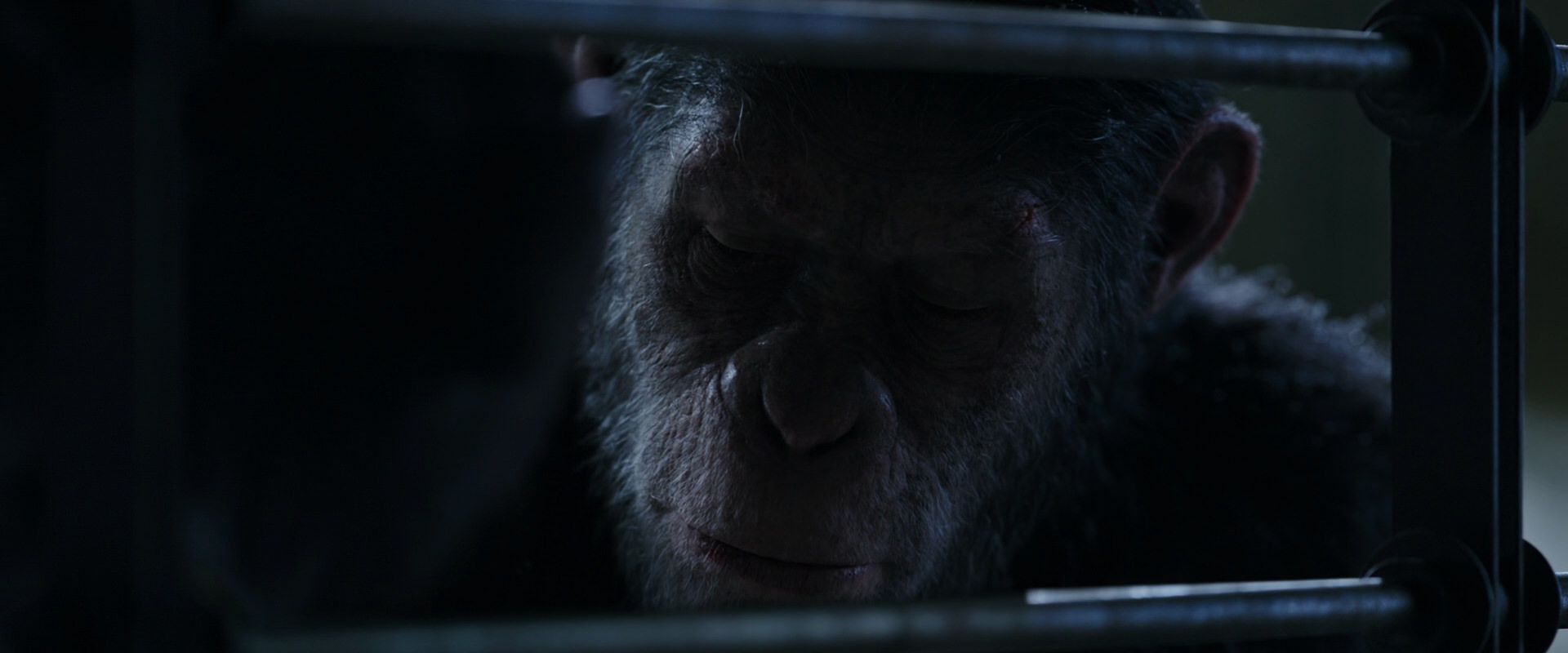 War for the Planet of the Apes (2017) HD screenshot 13193