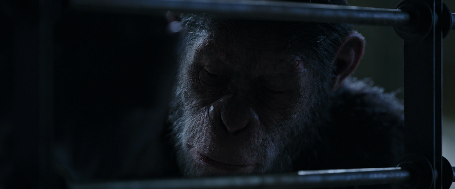 War for the Planet of the Apes (2017) screencap 13194