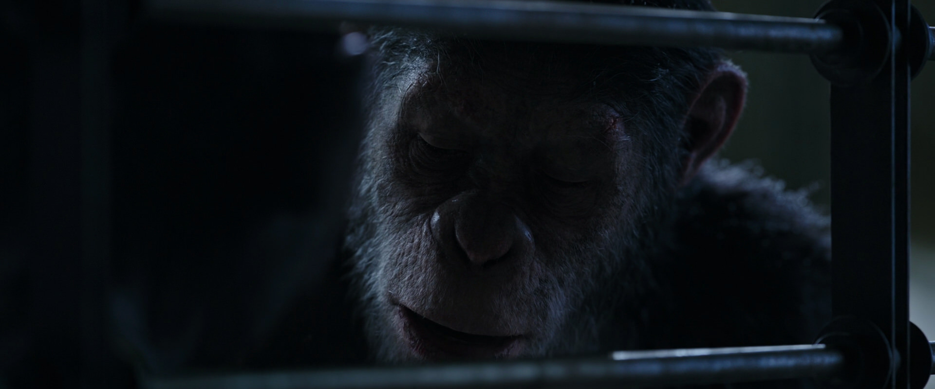 War for the Planet of the Apes (2017) movie still 13195