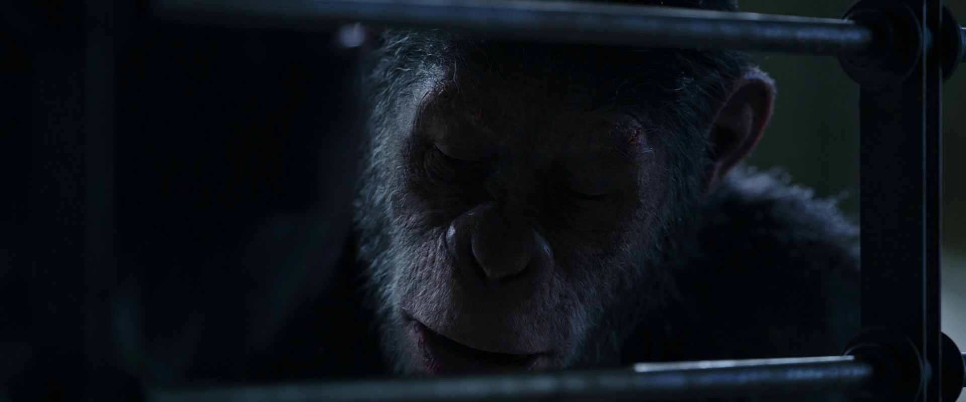 War for the Planet of the Apes (2017) HD screenshot 13196