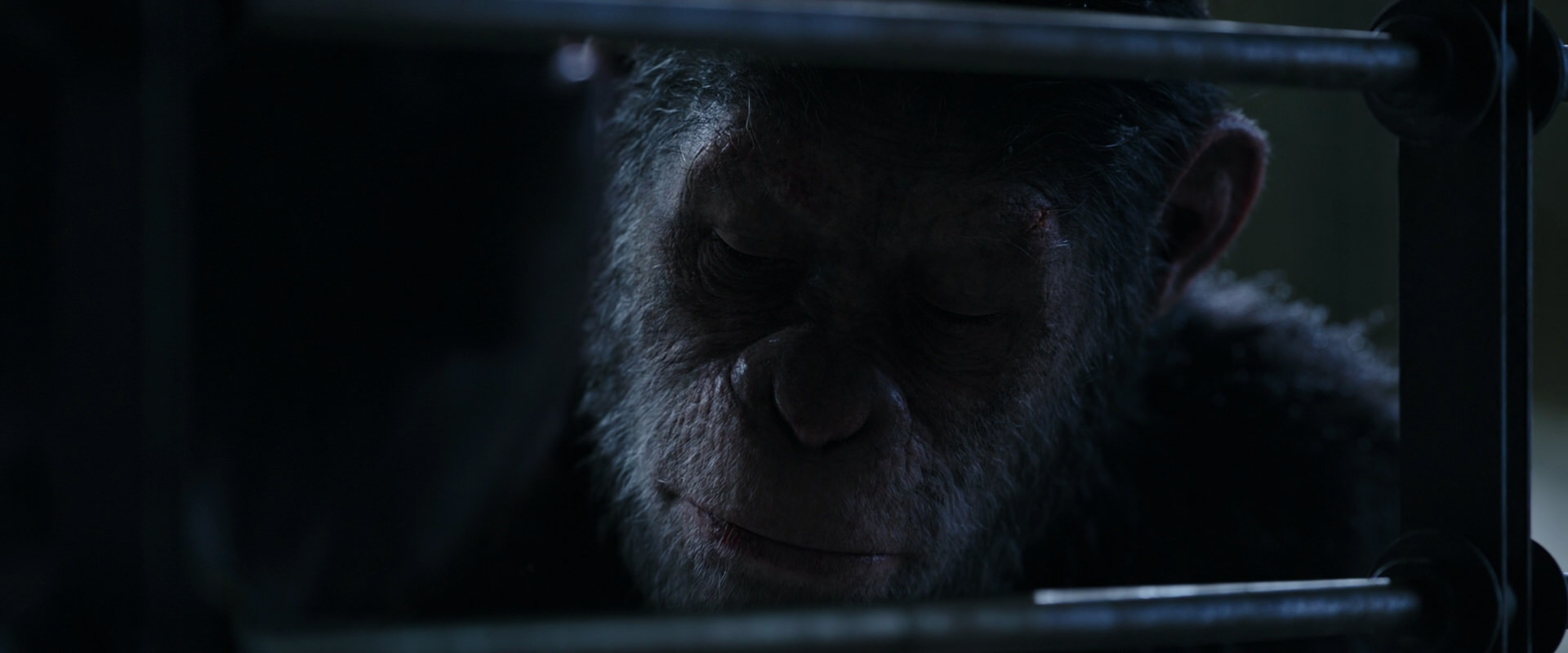 War for the Planet of the Apes (2017) screencap 13197