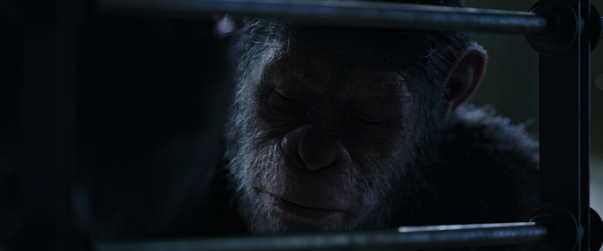 War for the Planet of the Apes (2017) movie still 13198