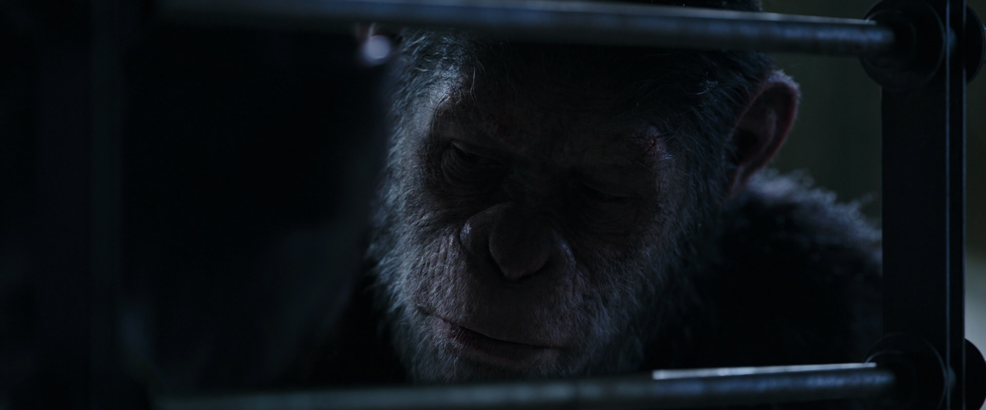 War for the Planet of the Apes (2017) HD screenshot 13199