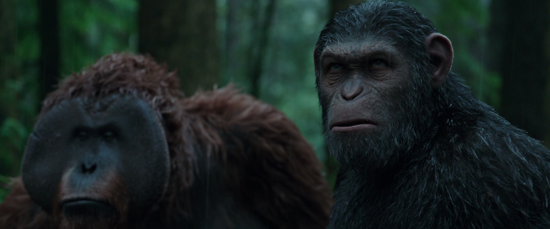 War for the Planet of the Apes (2017) screencap 1320