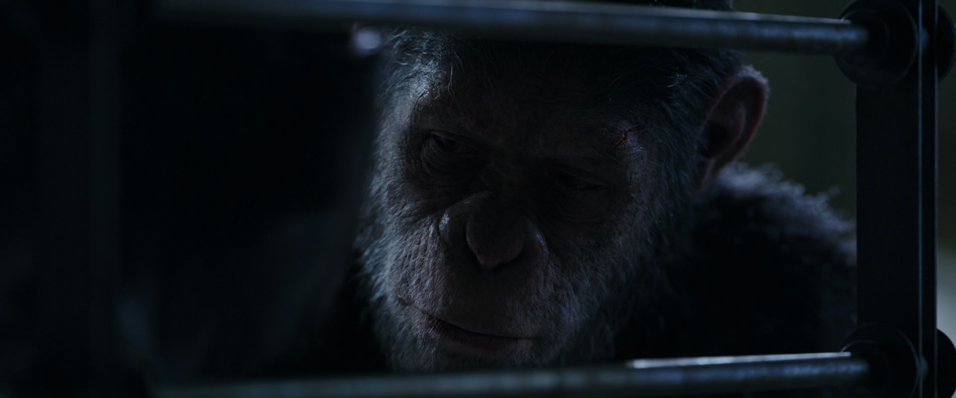 War for the Planet of the Apes (2017) screencap 13200
