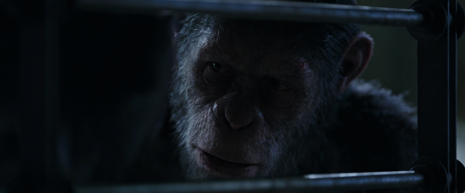 War for the Planet of the Apes (2017) movie still 13201