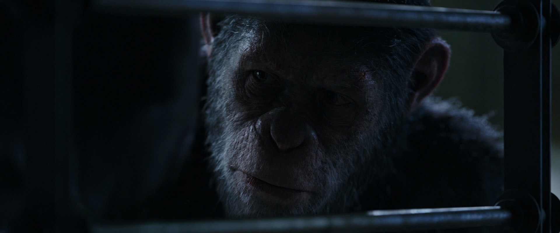 War for the Planet of the Apes (2017) HD screenshot 13202