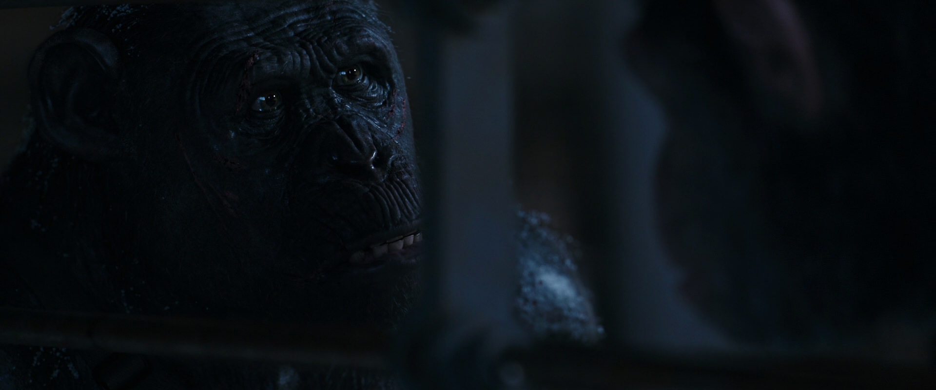 War for the Planet of the Apes (2017) movie still 13204