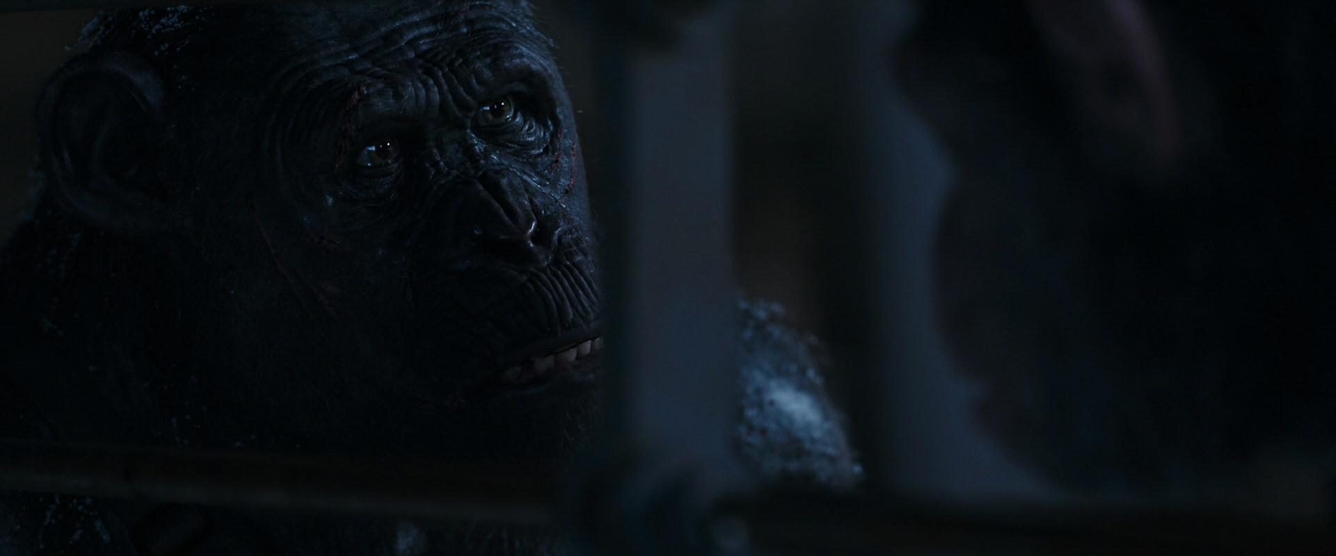 War for the Planet of the Apes (2017) HD screenshot 13205