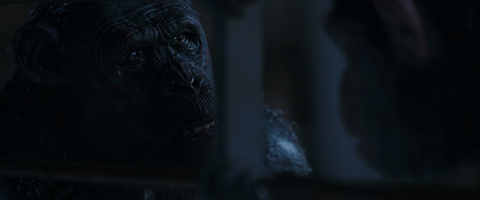 War for the Planet of the Apes (2017) screencap 13206