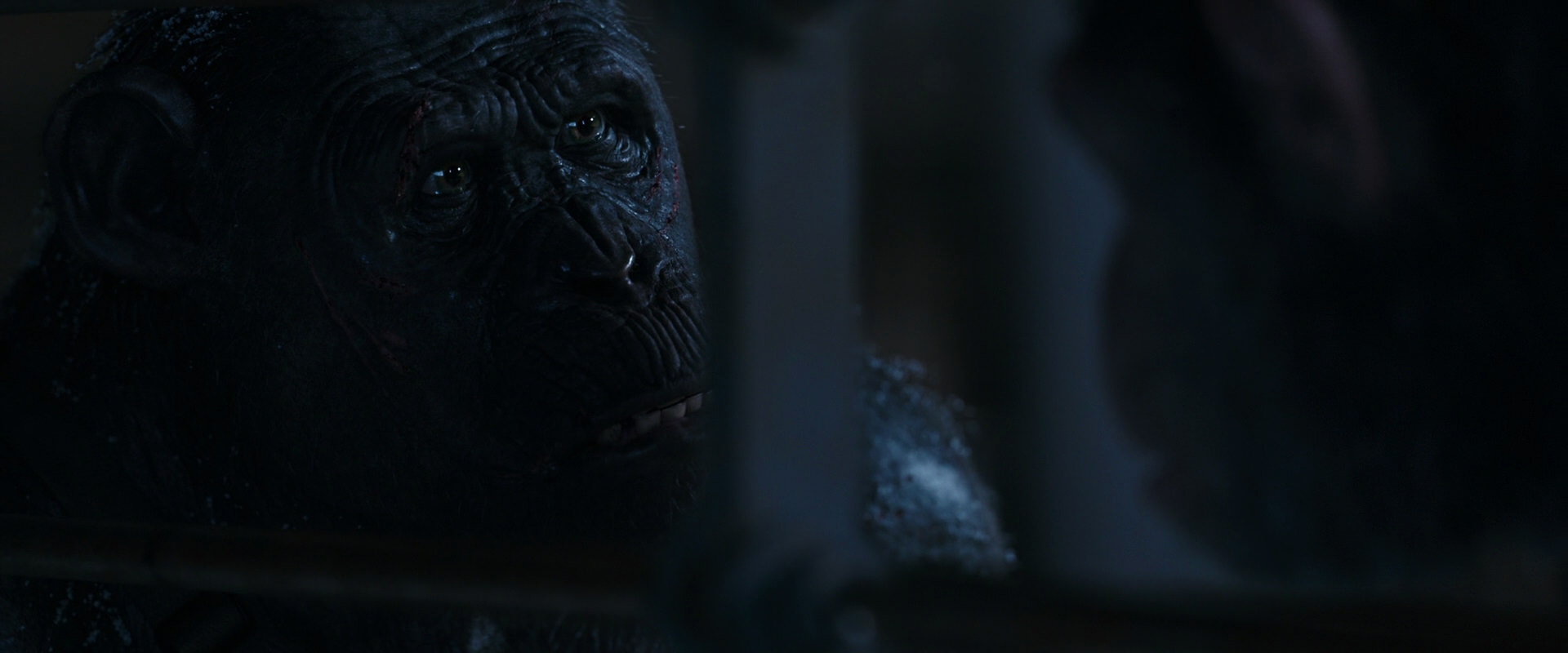 War for the Planet of the Apes (2017) movie still 13207