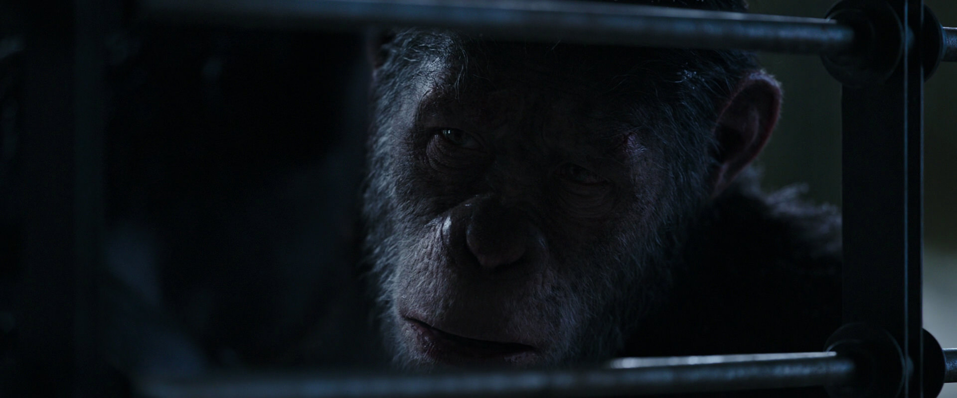 War for the Planet of the Apes (2017) HD screenshot 13208