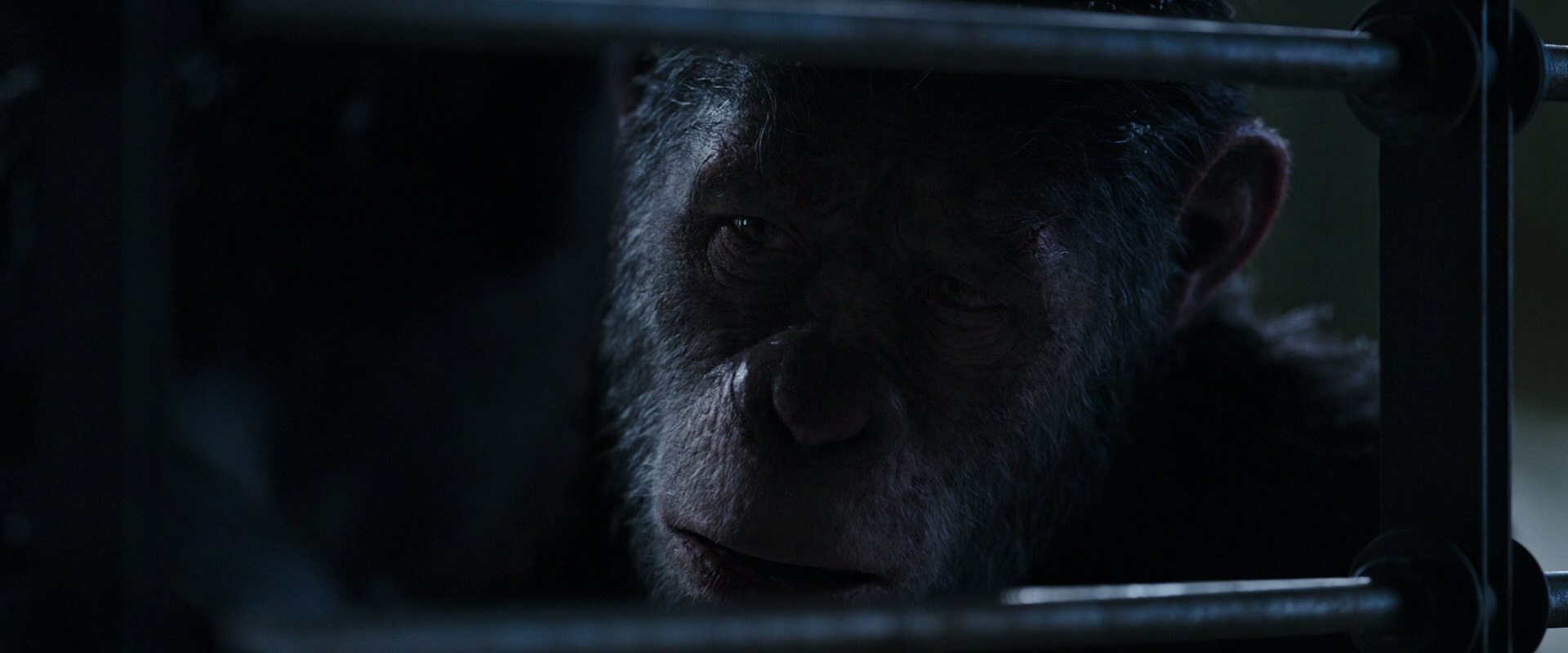 War for the Planet of the Apes (2017) screencap 13209