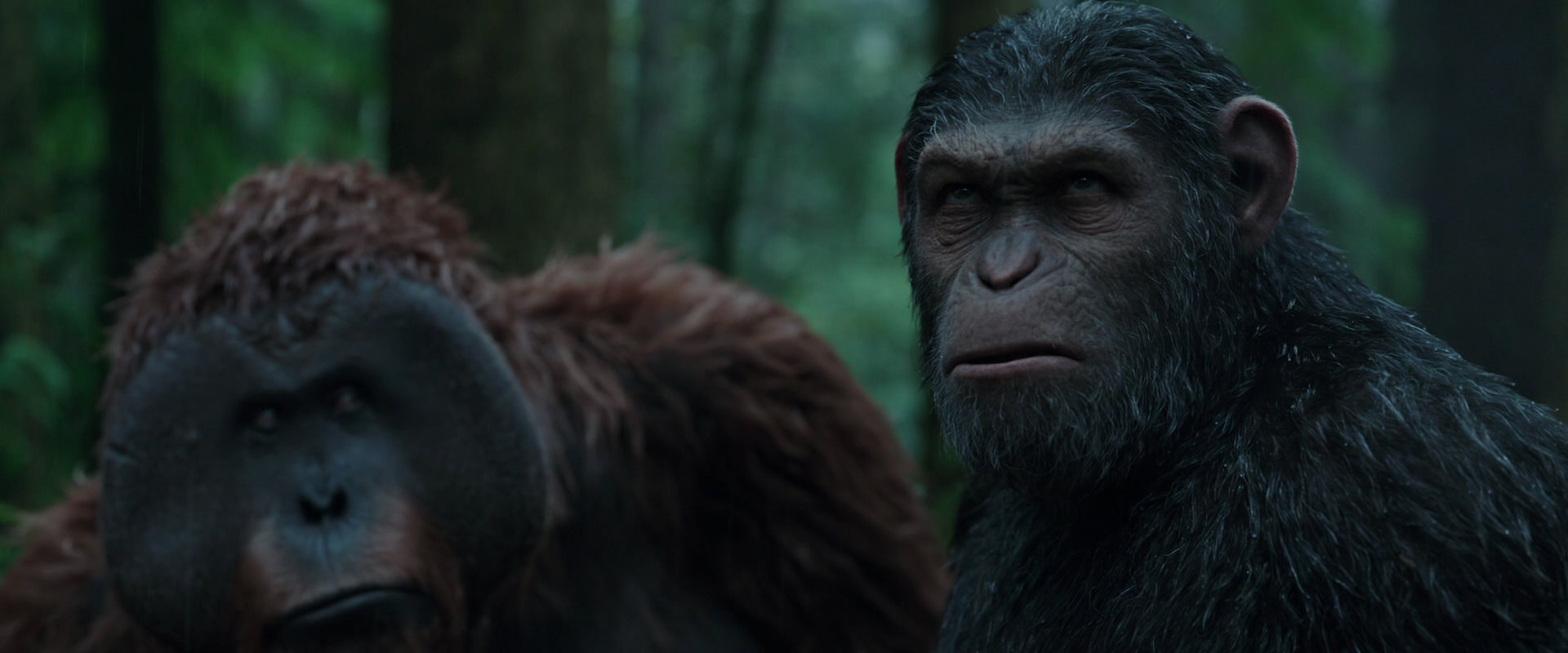 War for the Planet of the Apes (2017) movie still 1321