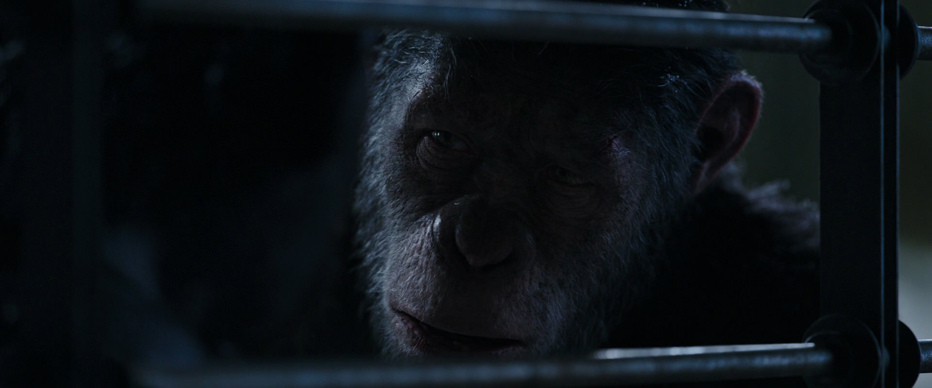 War for the Planet of the Apes (2017) movie still 13210