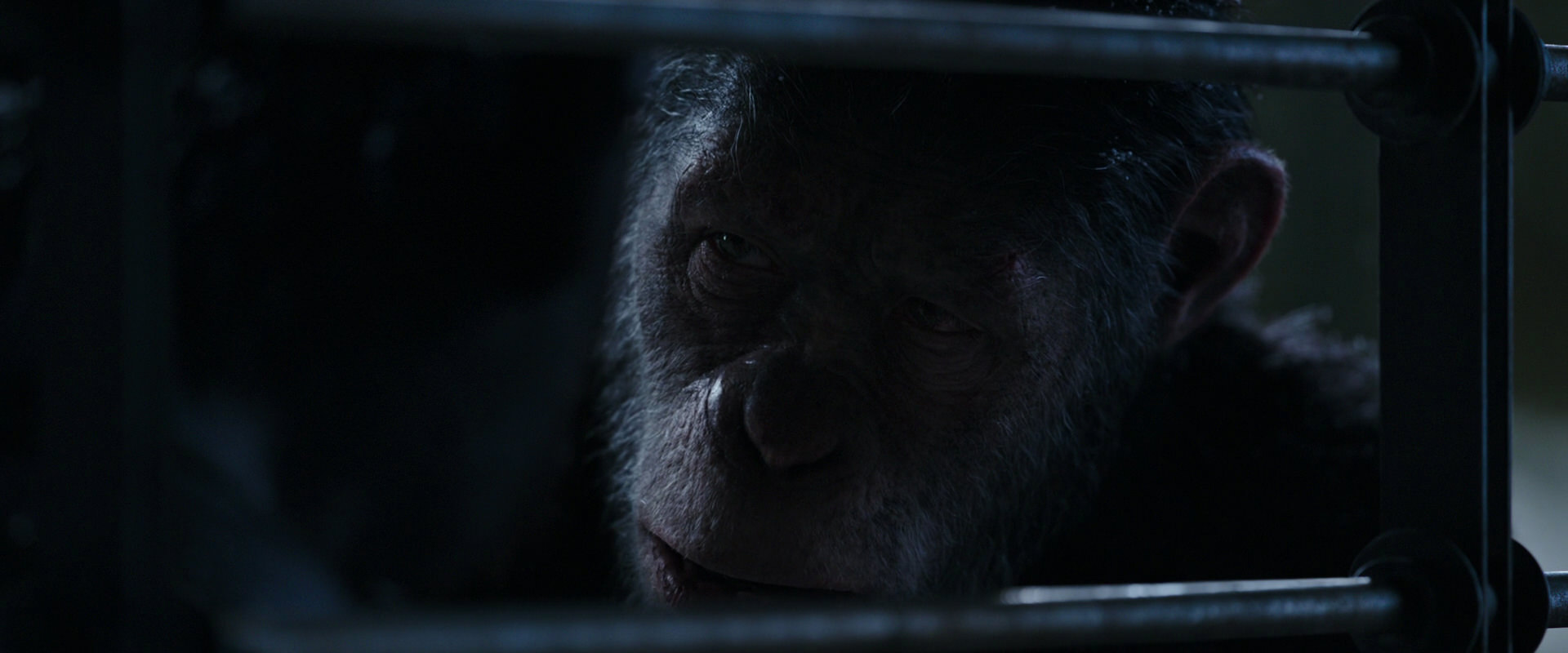 War for the Planet of the Apes (2017) HD screenshot 13211