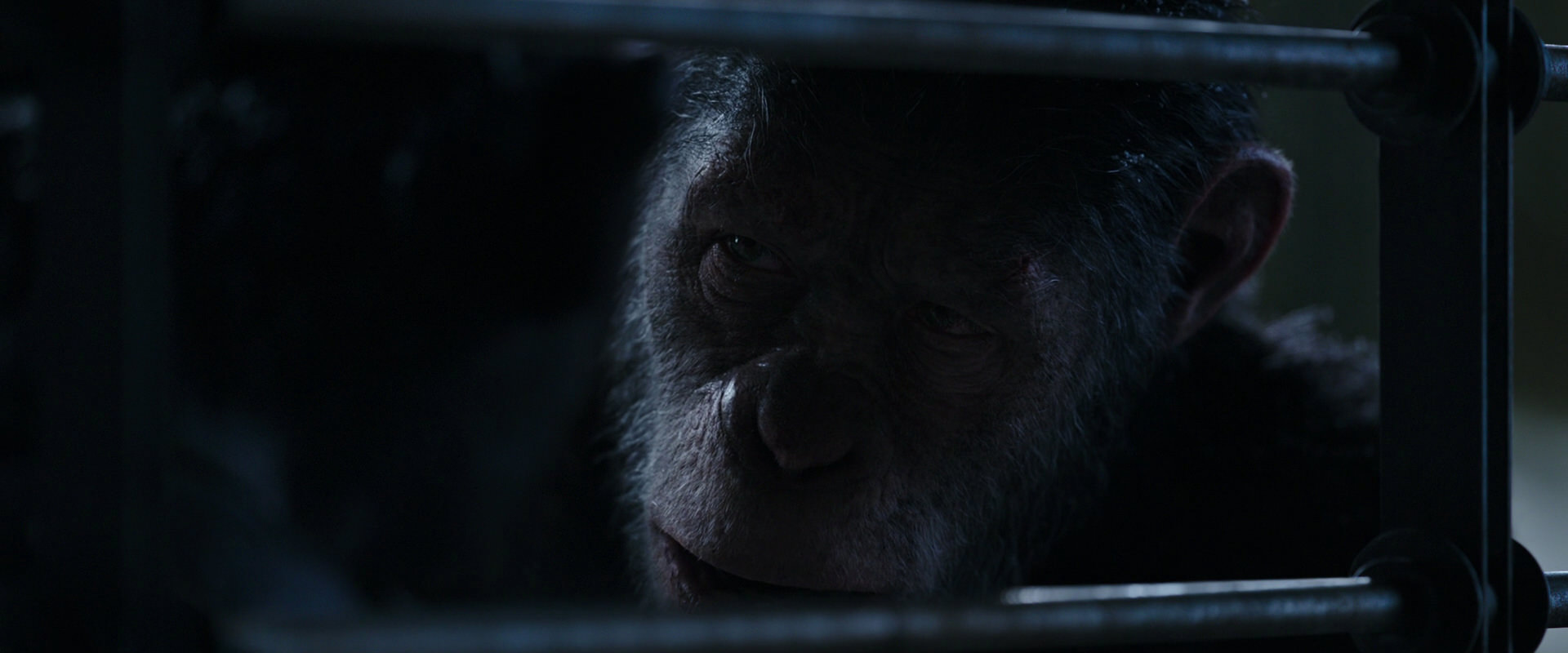 War for the Planet of the Apes (2017) screencap 13212