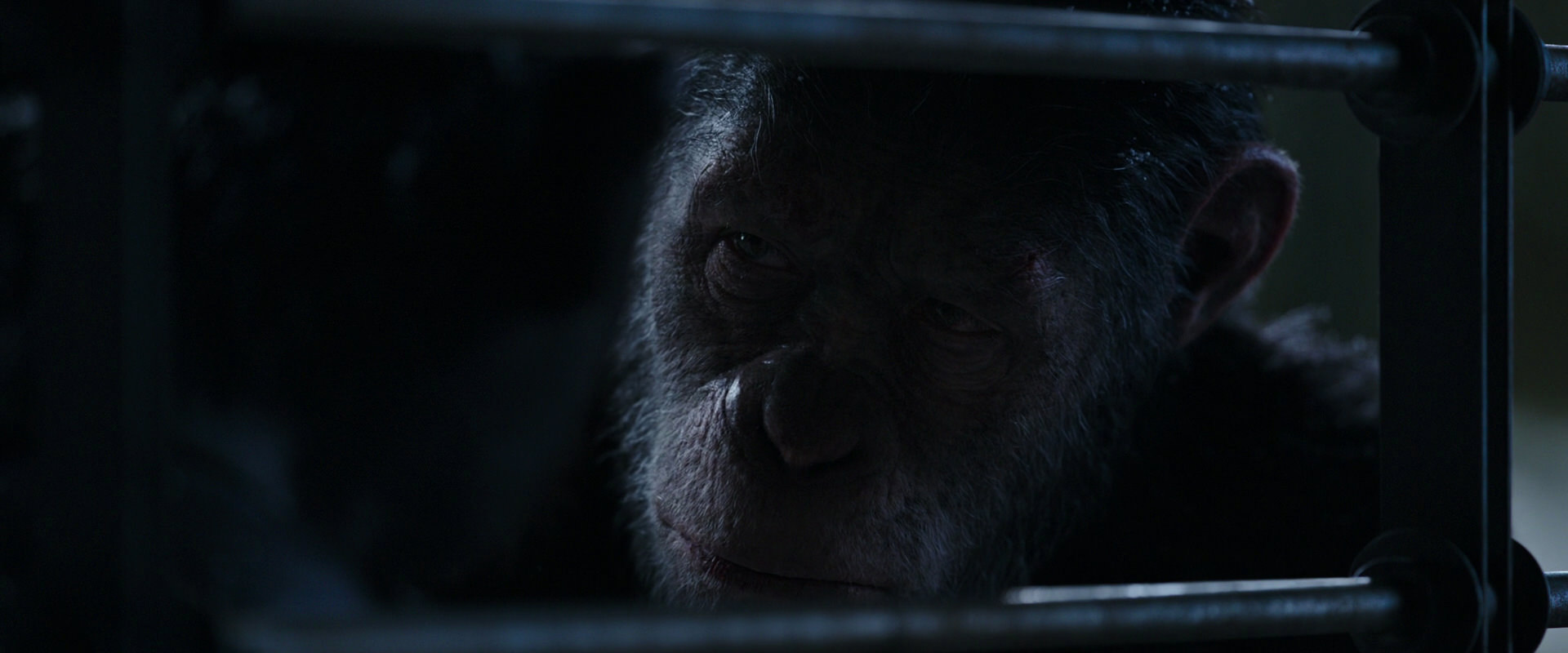 War for the Planet of the Apes (2017) movie still 13213