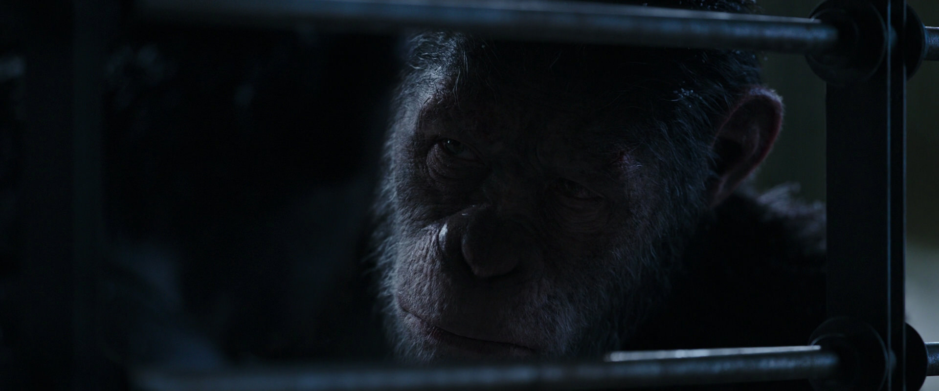 War for the Planet of the Apes (2017) HD screenshot 13214