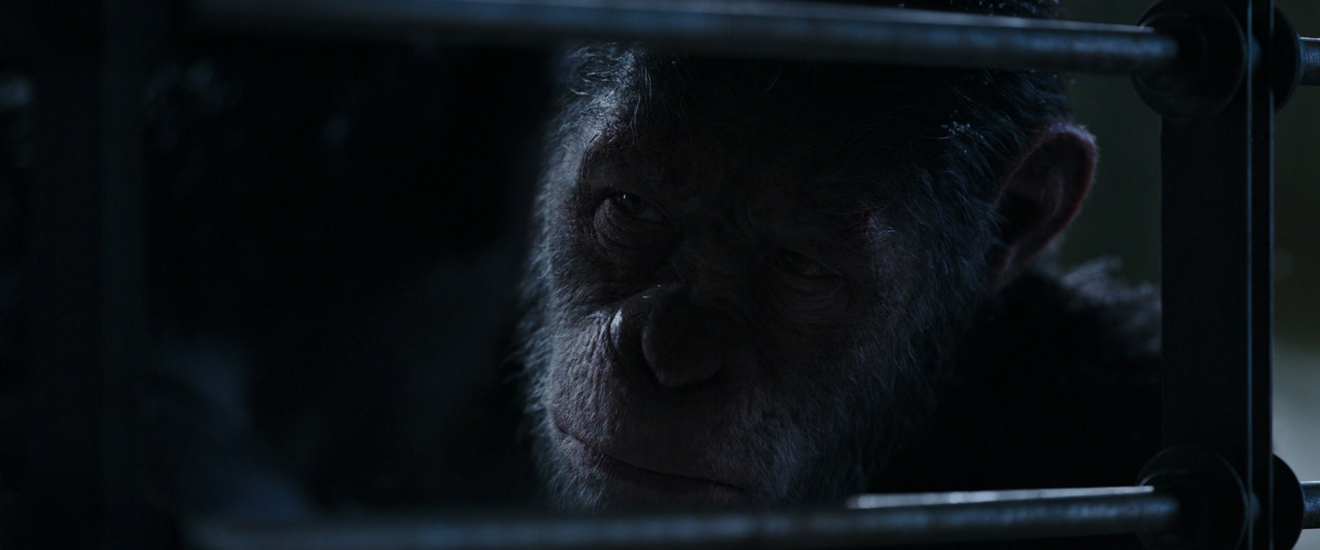 War for the Planet of the Apes (2017) screencap 13215