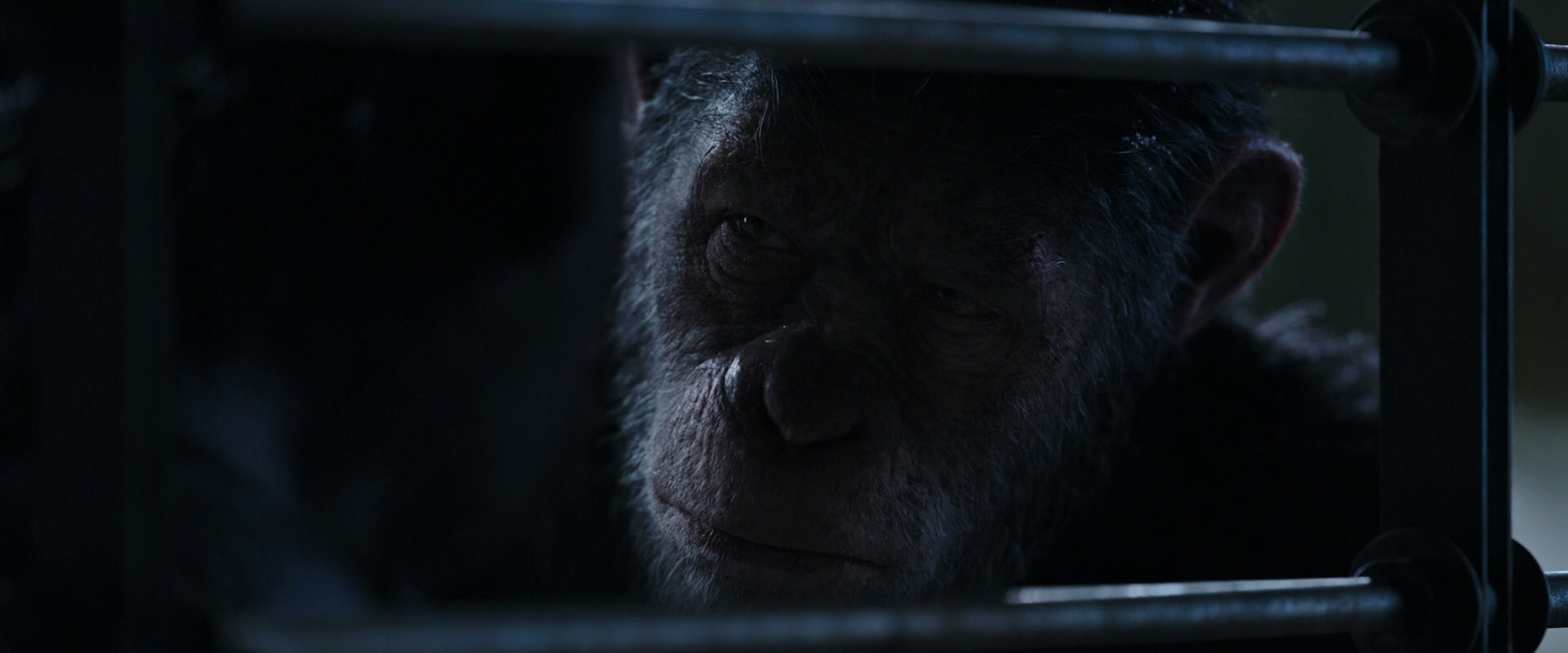 War for the Planet of the Apes (2017) movie still 13216